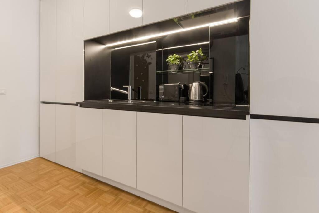 Gorgeous Central Flat With Garage Ljubljana Extérieur photo